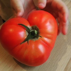 Blumengeburtstag Patchwork auf Augenhöhe Herz Tomate