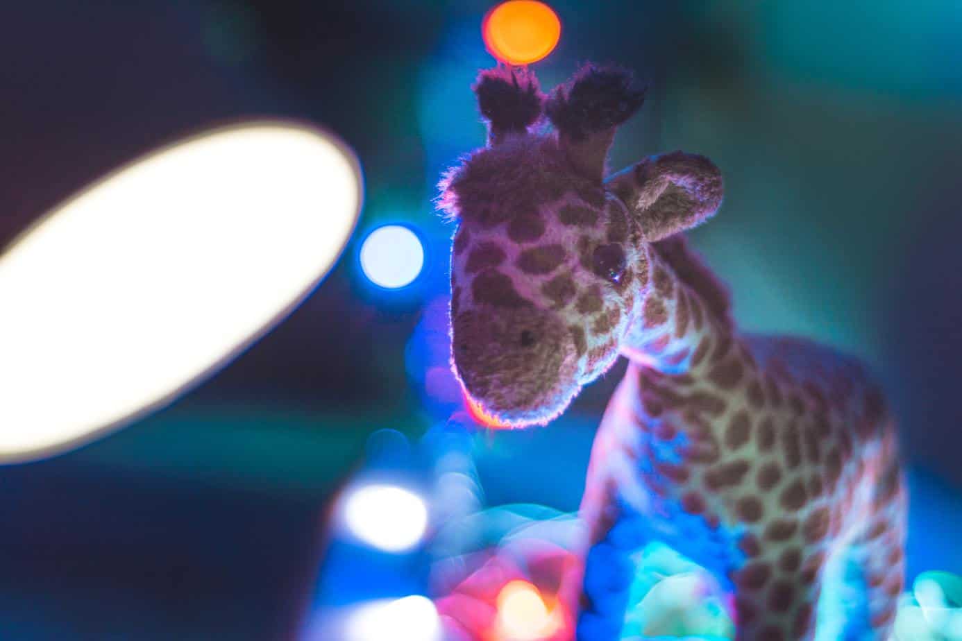 Giraffensprache GFK für Kinder Giraffe