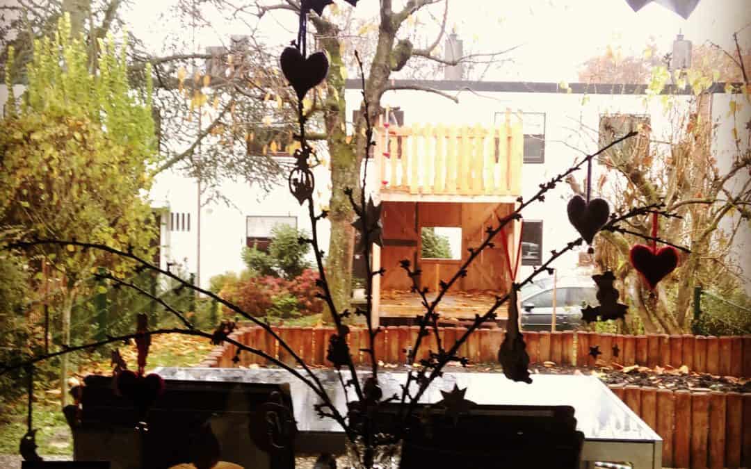Weihnachtsvorbereitungen Barbarazweige