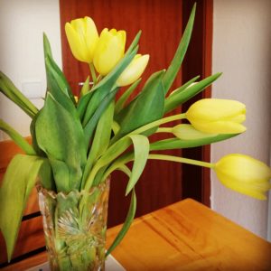 Alltagskunst Tulpen