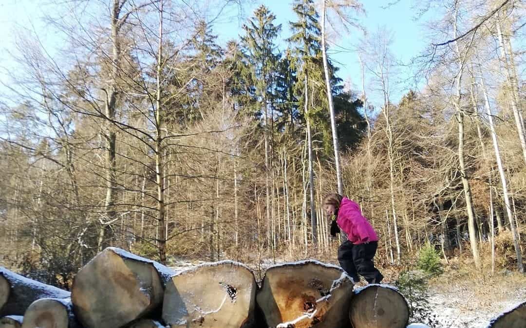 Alltagskunst – Unser WiB 19./20.01.2019
