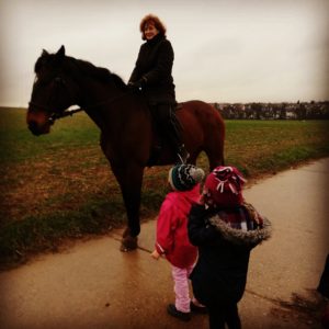 Besuch Pferd