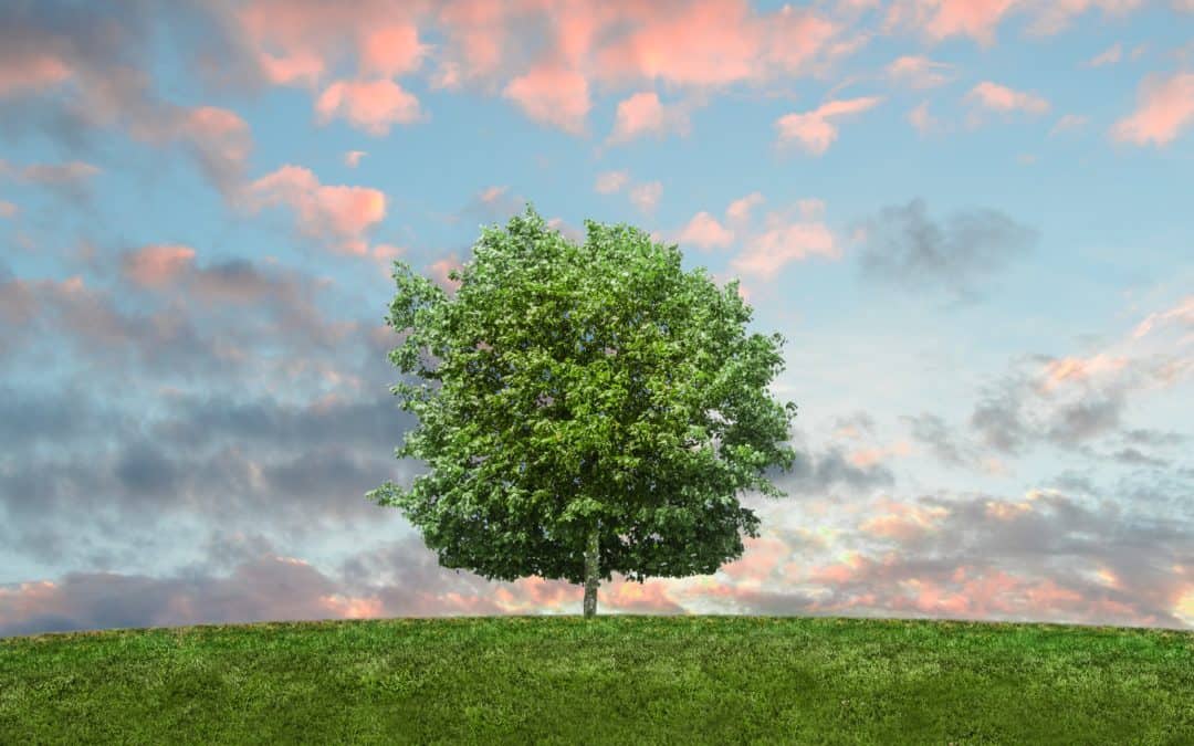 Ziel erreichen Baum fällen