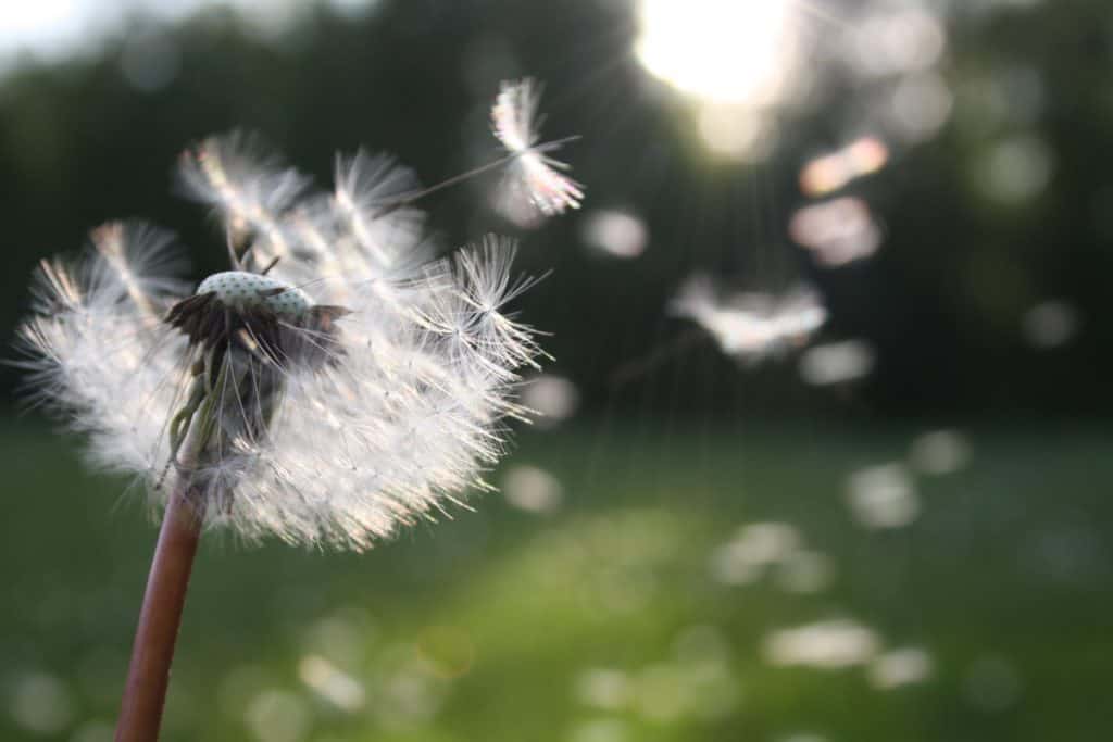 Mann mit Kind Wunsch