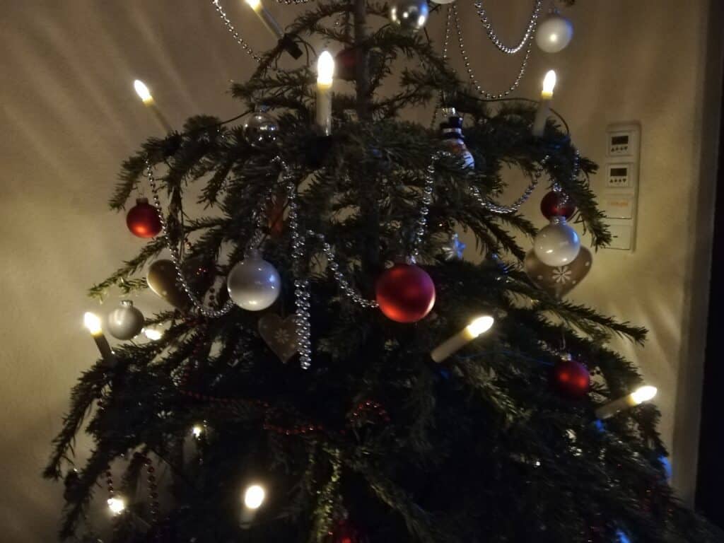 12 von 12 im Januar lässt der Tannenbaum die Zweige hängen