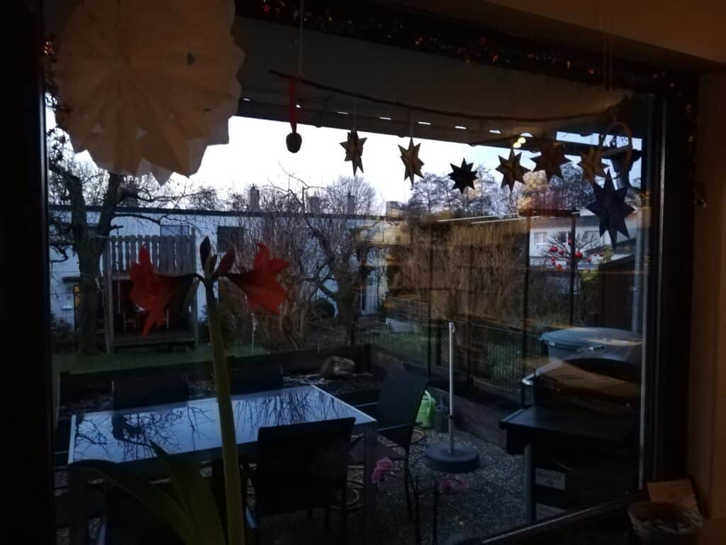 12 von 12 Ausblick aus dem Wohnzimmer Fenster im Januar